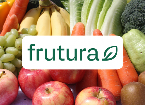 Website Teaser Frutura