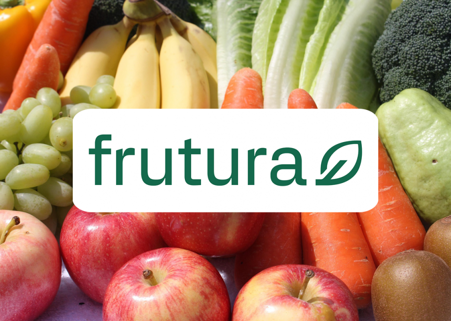 Website Teaser Frutura